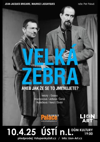Velká zebra aneb Jak že se to jmenujete?